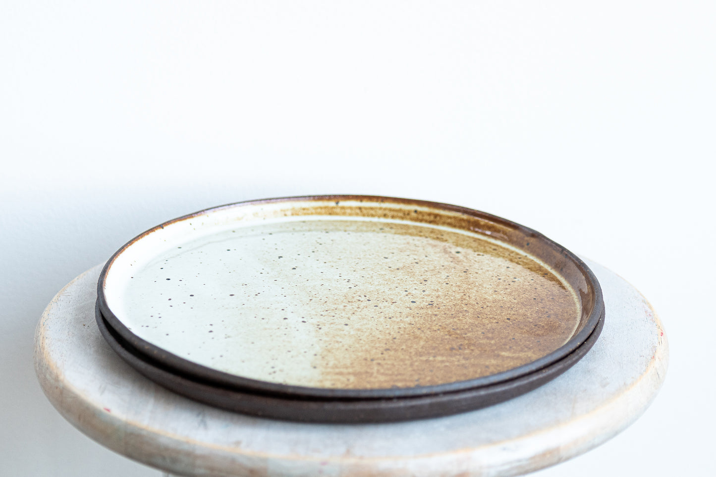 pair of underdog stoneware dinner plates