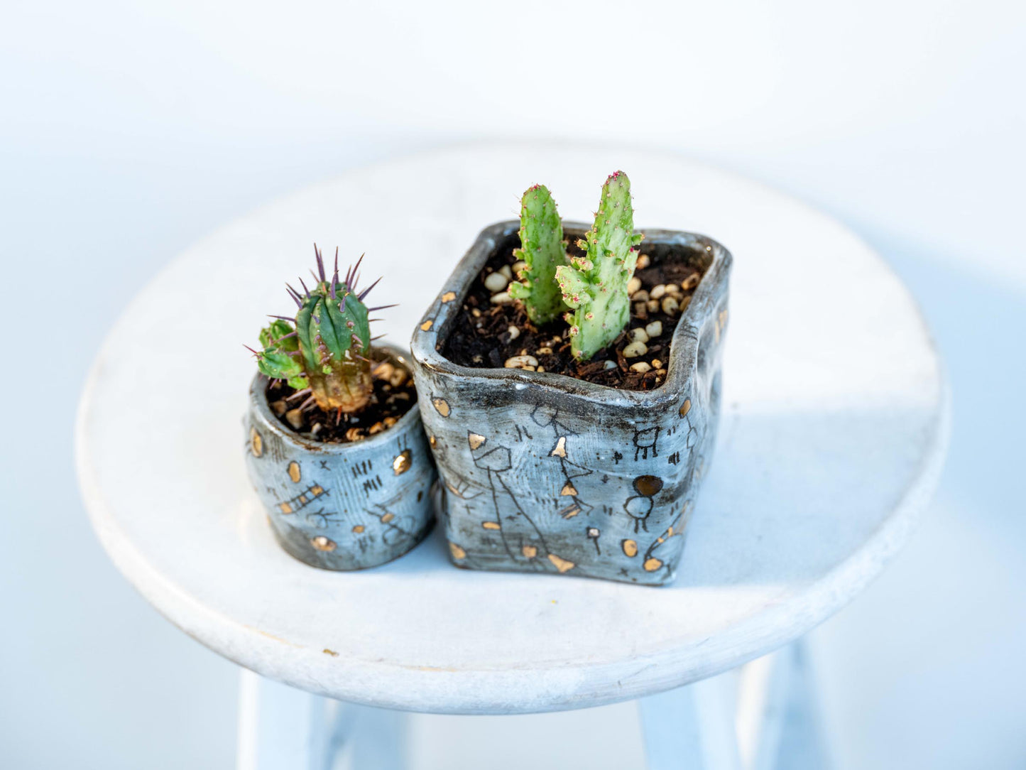 constellation collection - planters
