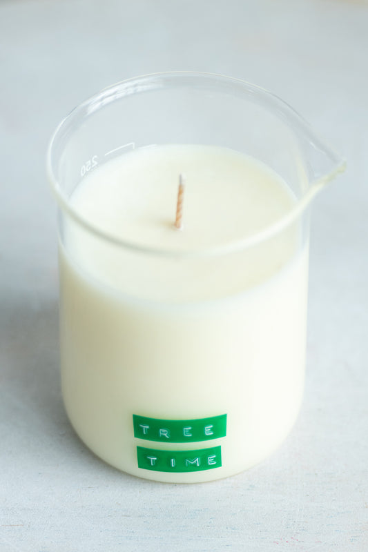 tree time beaker candle